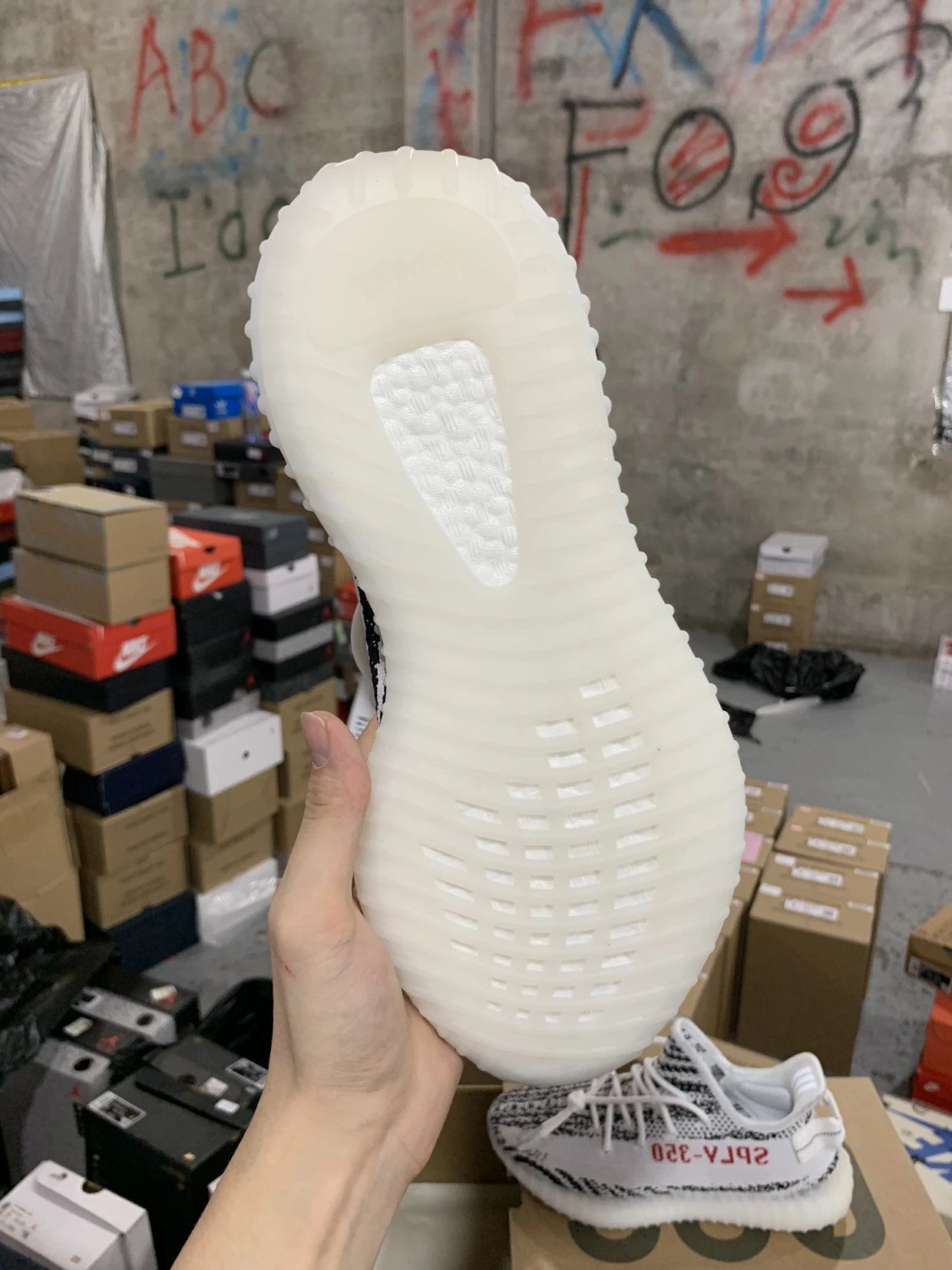 Yeezy 350 V2 Boost zebra Color
