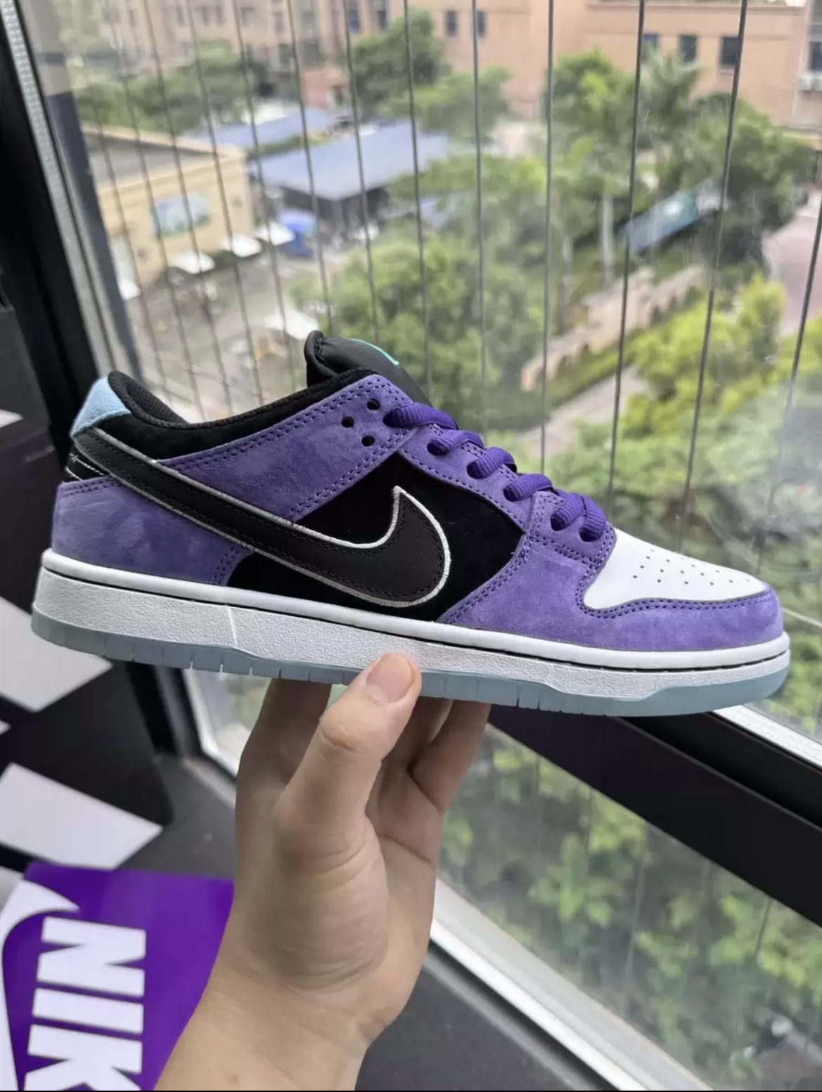 1:1 Hayley Wilson & Nike SB Dunk Low Court Purple