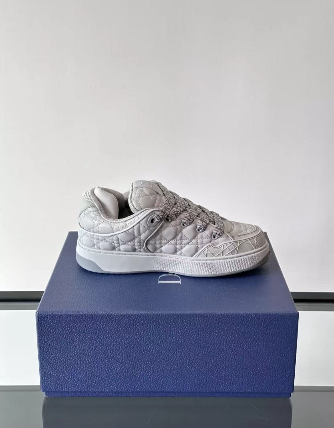 1:1 best quality dior B9S grey color